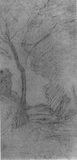 17COROT2.jpg (17k)